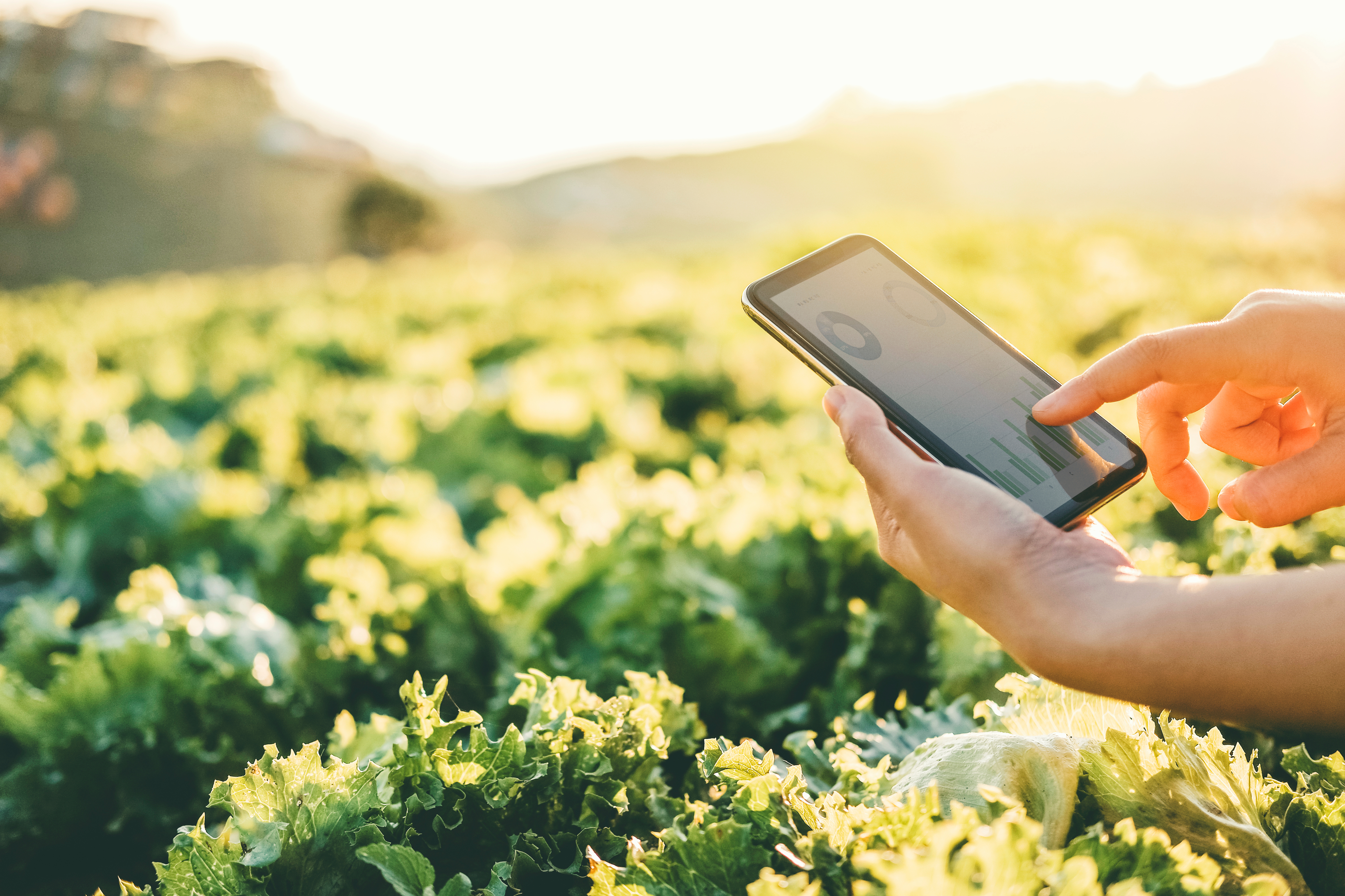 Agricultor controla el sistema de riego de su campo con una Tablet